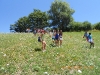 DSCN6531 (Copia)