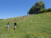 DSCN6532 (Copia)