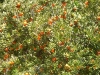 0123 tabor_1067x800
