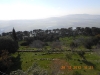 0124 tabor_1067x800