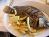 0248 Tannureen pranzo_1200x800