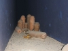 0320 QUMRAN_1200x800